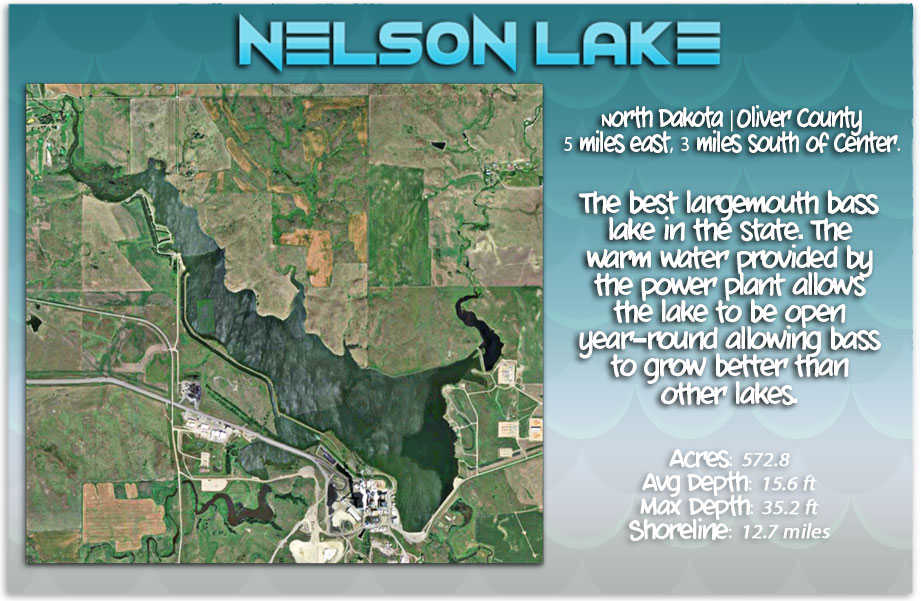 Nelson Lake tournament records bass fishing