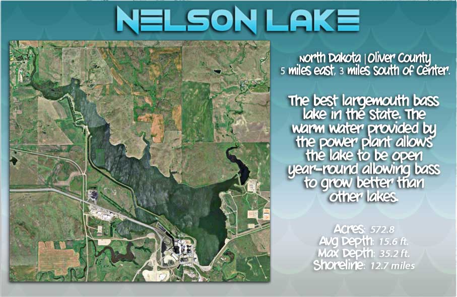 Nelson Lake Records