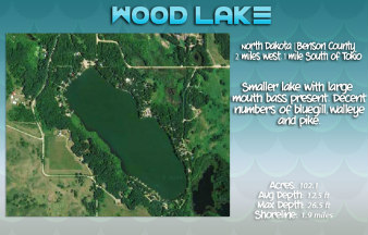 Wood lake records